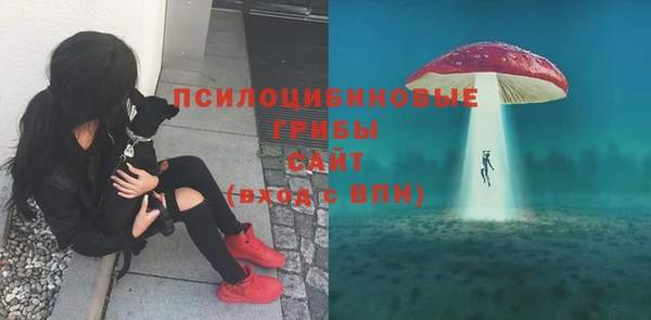 твердый Балахна