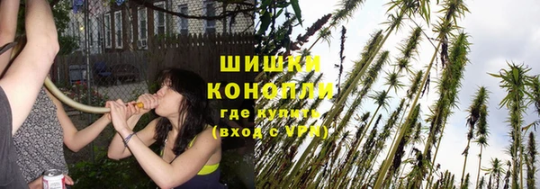 стафф Балабаново
