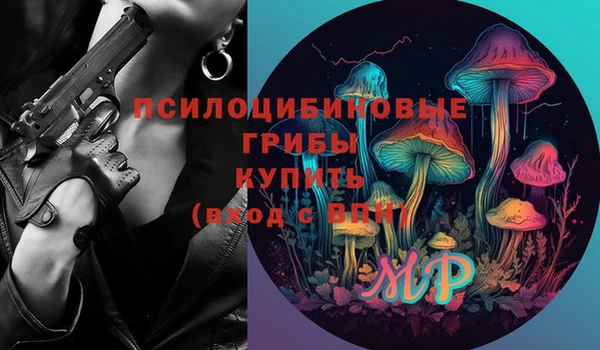 хмурый Медногорск