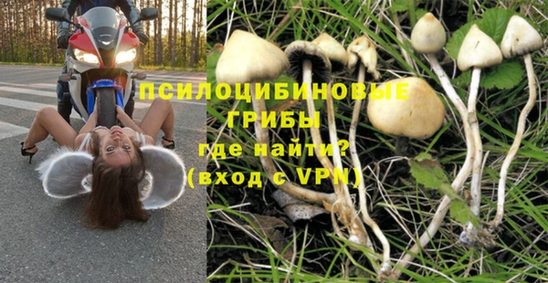 ПСИЛОЦИБИНОВЫЕ ГРИБЫ Мегион