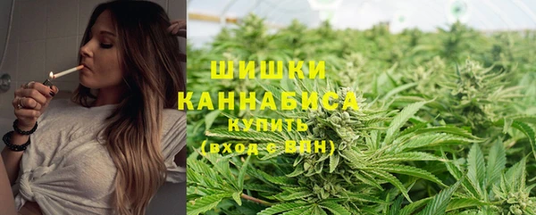 стафф Балабаново
