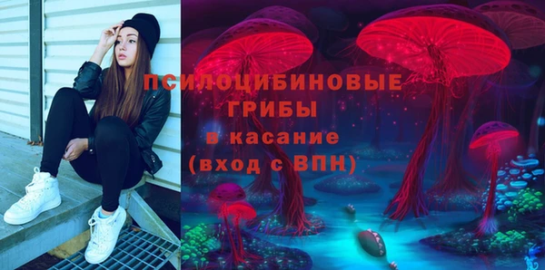 твердый Балахна