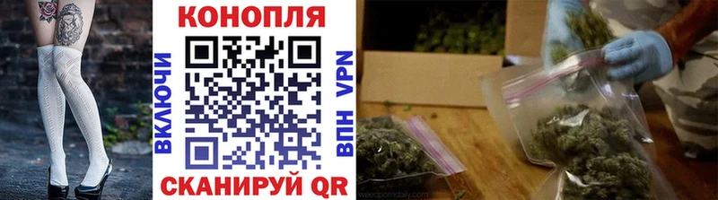 Бошки марихуана план  наркотики  Ессентуки 